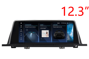 BMW 5GT(F07) 2009-2017 Radio Upgrade with 12.3" screen